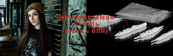 индика Осинники