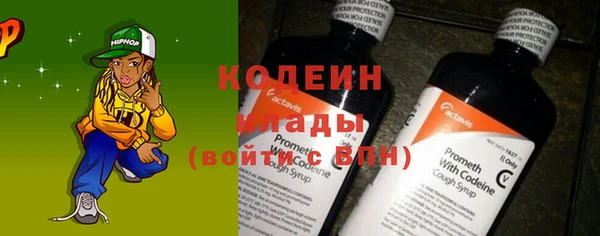 индика Осинники
