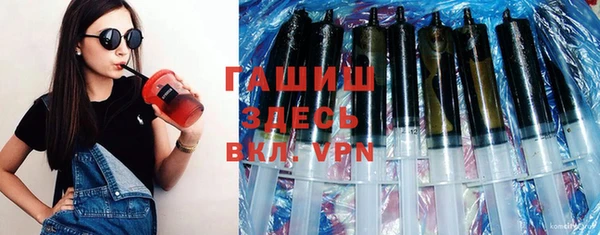 индика Осинники