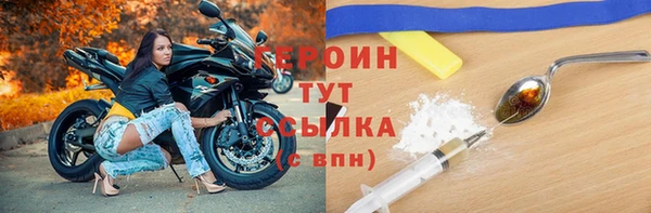 индика Осинники