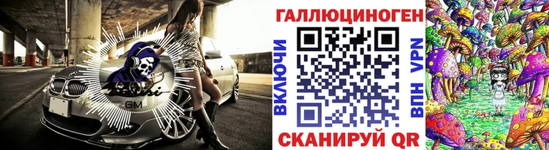 где продают   Власиха  Псилоцибиновые грибы Psilocybine cubensis 